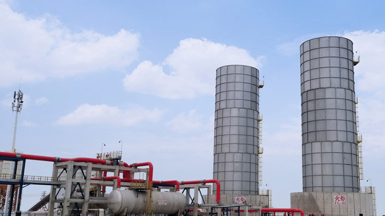 天津液化天然氣(LNG)項目-火炬設備包