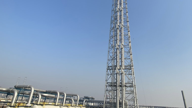 天津渤化化工發展有限公司“兩化”搬遷改造項目公用配套工程EPC總承包項目全廠火炬